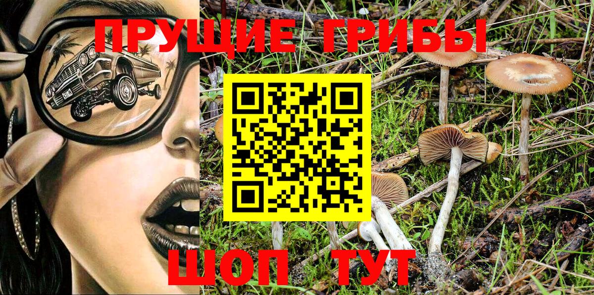 Галлюциногенные грибы MAGIC MUSHROOMS  Вход с VPN  Егорьевск 